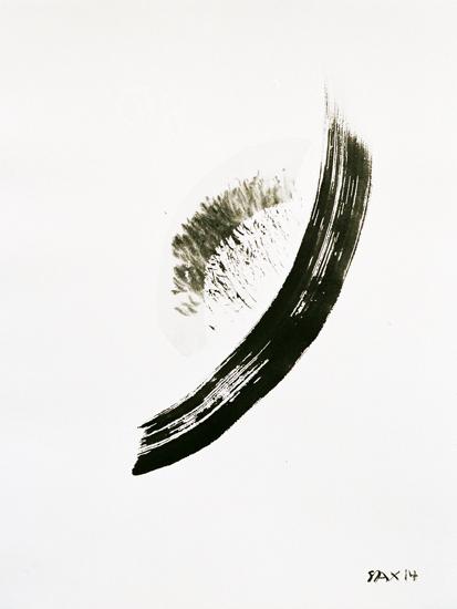 5-2014 apparisce 66x51 chf 2000.jpg